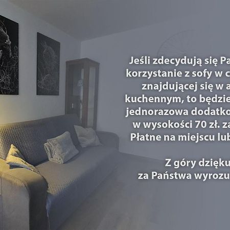 Spokojny Wypoczynek 5 Ostrów Wielkopolski Buitenkant foto